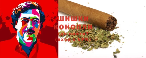 молекула духа Каменногорск