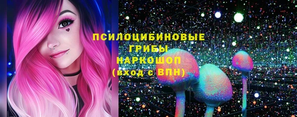 дурь Каменск-Шахтинский