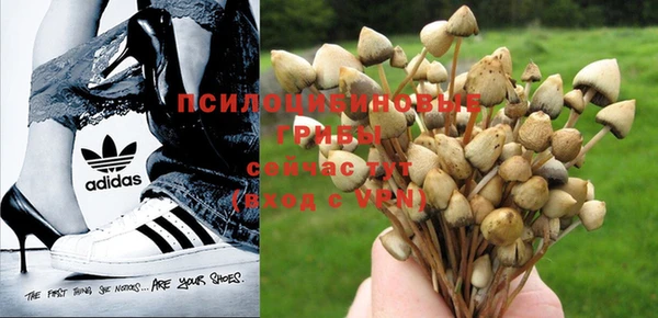 дурь Каменск-Шахтинский