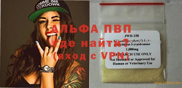 молекула духа Каменногорск