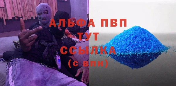 молекула духа Каменногорск