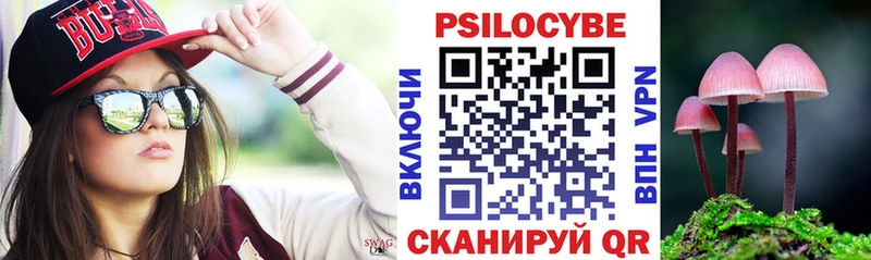 Купить где  Приозерск  Псилоцибиновые грибы ЛСД 